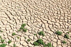 Changement climatique Algérie, illustration de sécheresse
